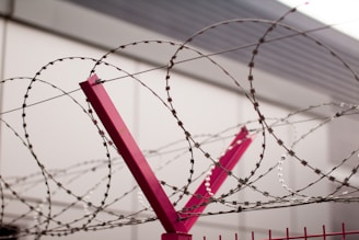 Spools of sharp barbed wire neatly arranged in an industrial warehouse.