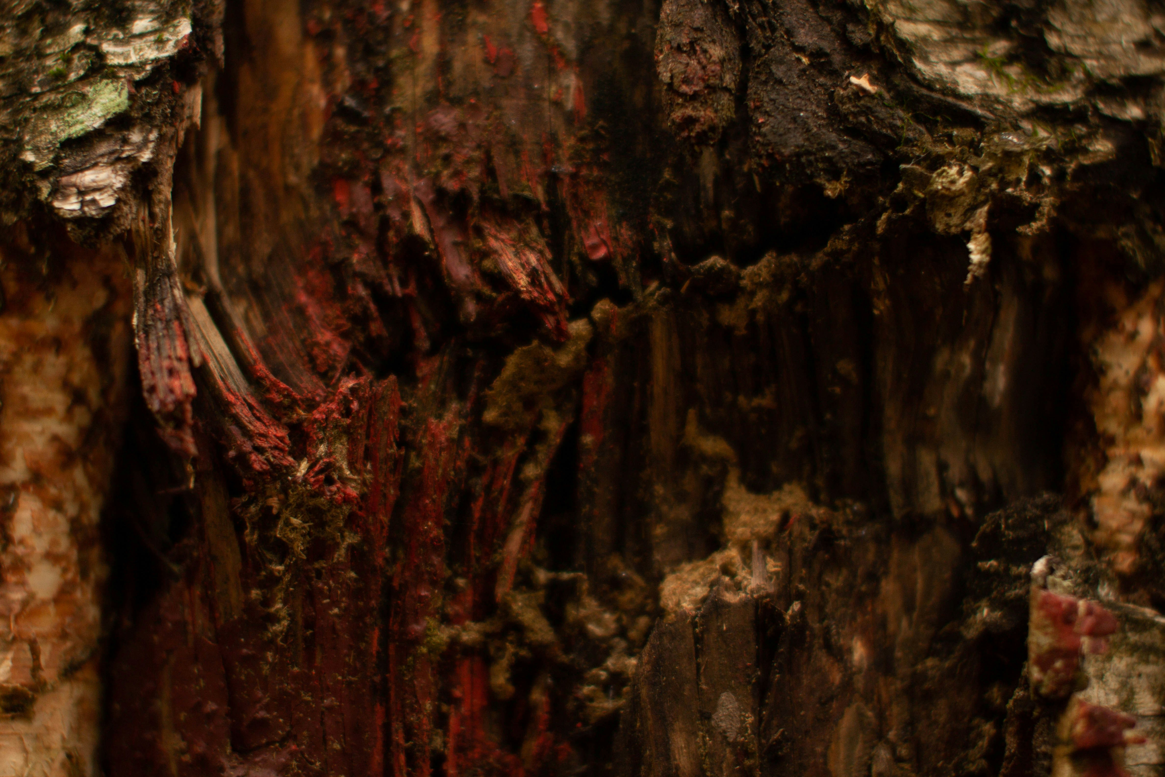 Photo by blackdegus_photo