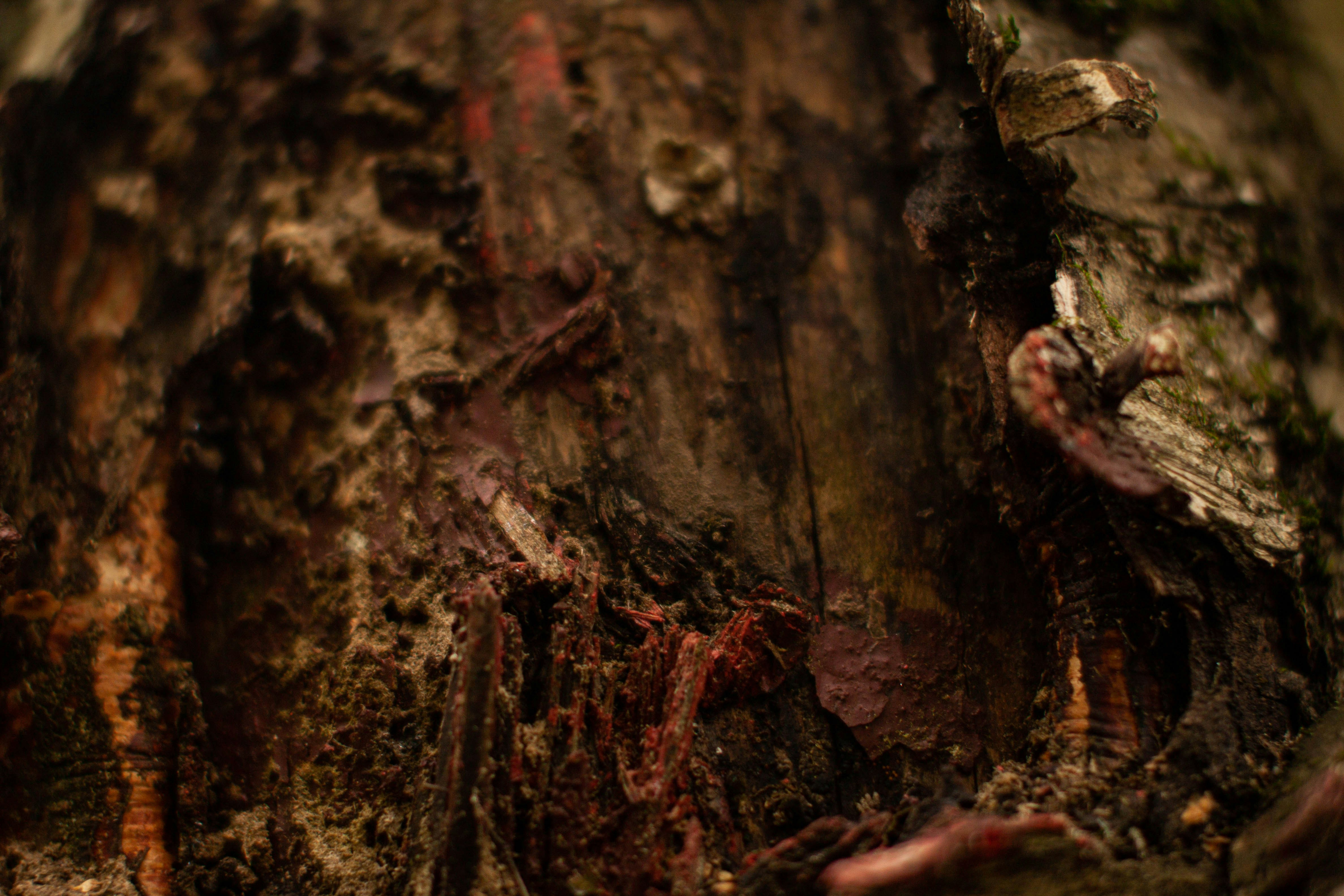 Photo by blackdegus_photo
