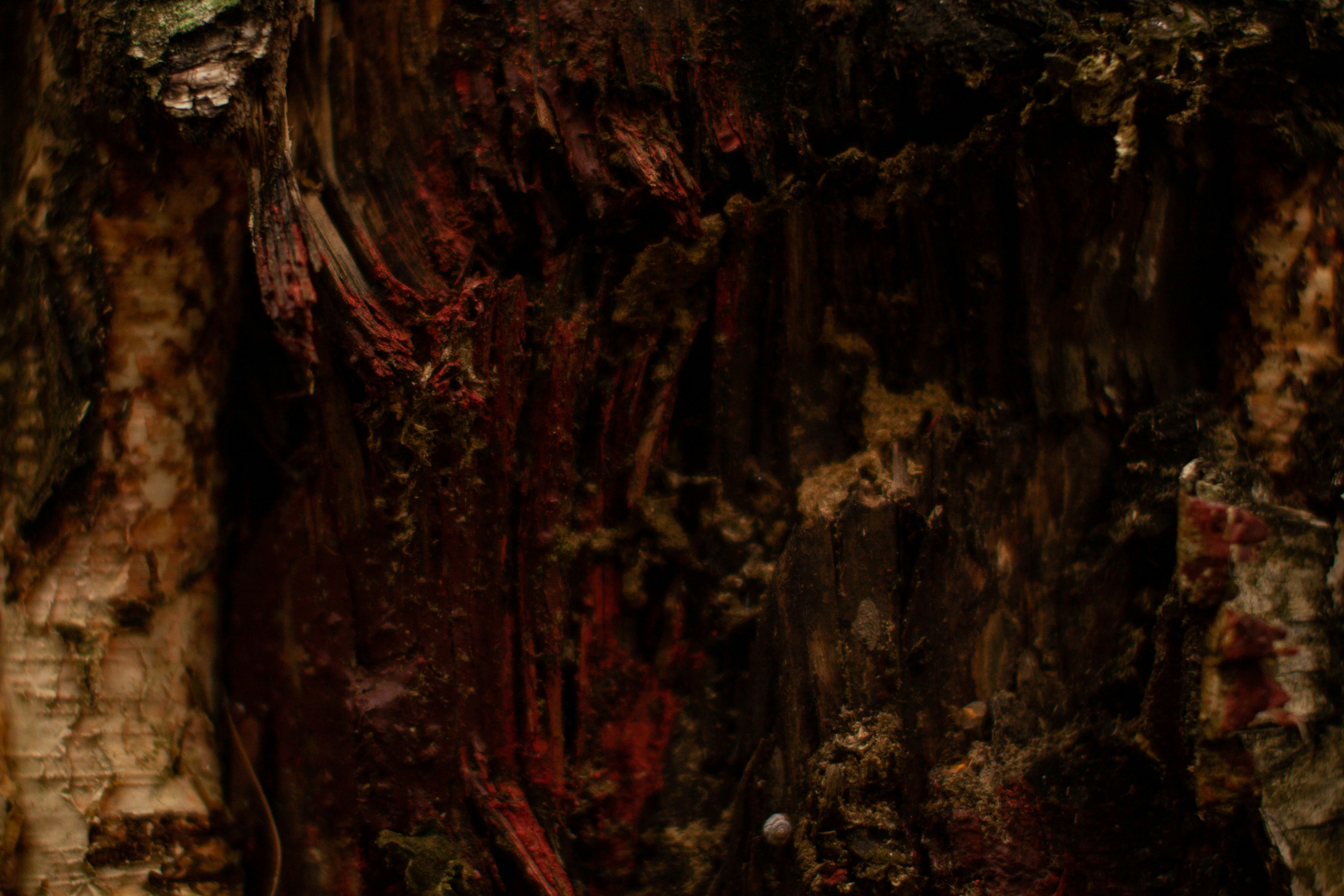 Photo by blackdegus_photo