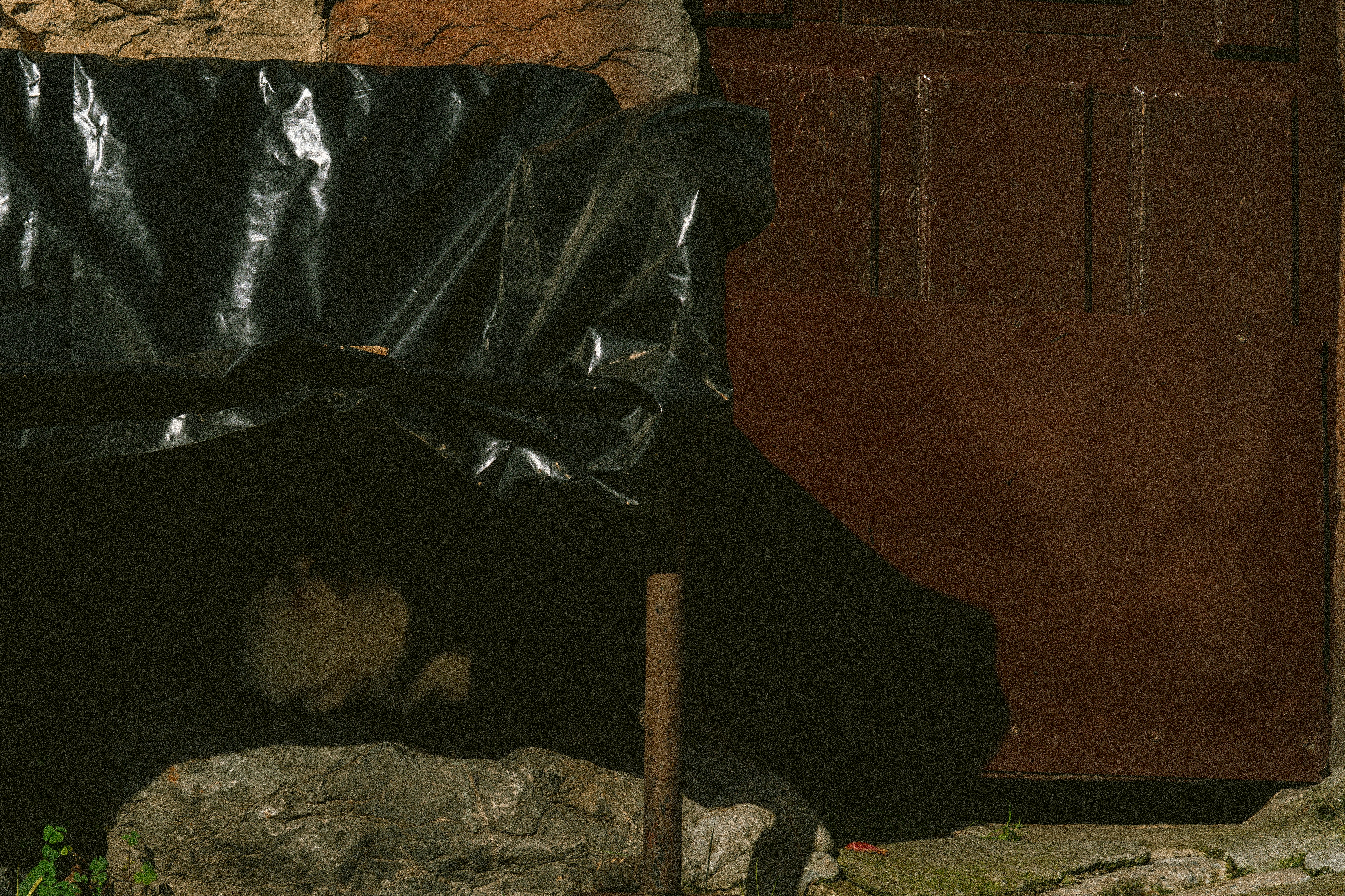 Photo by seenthroughmpk