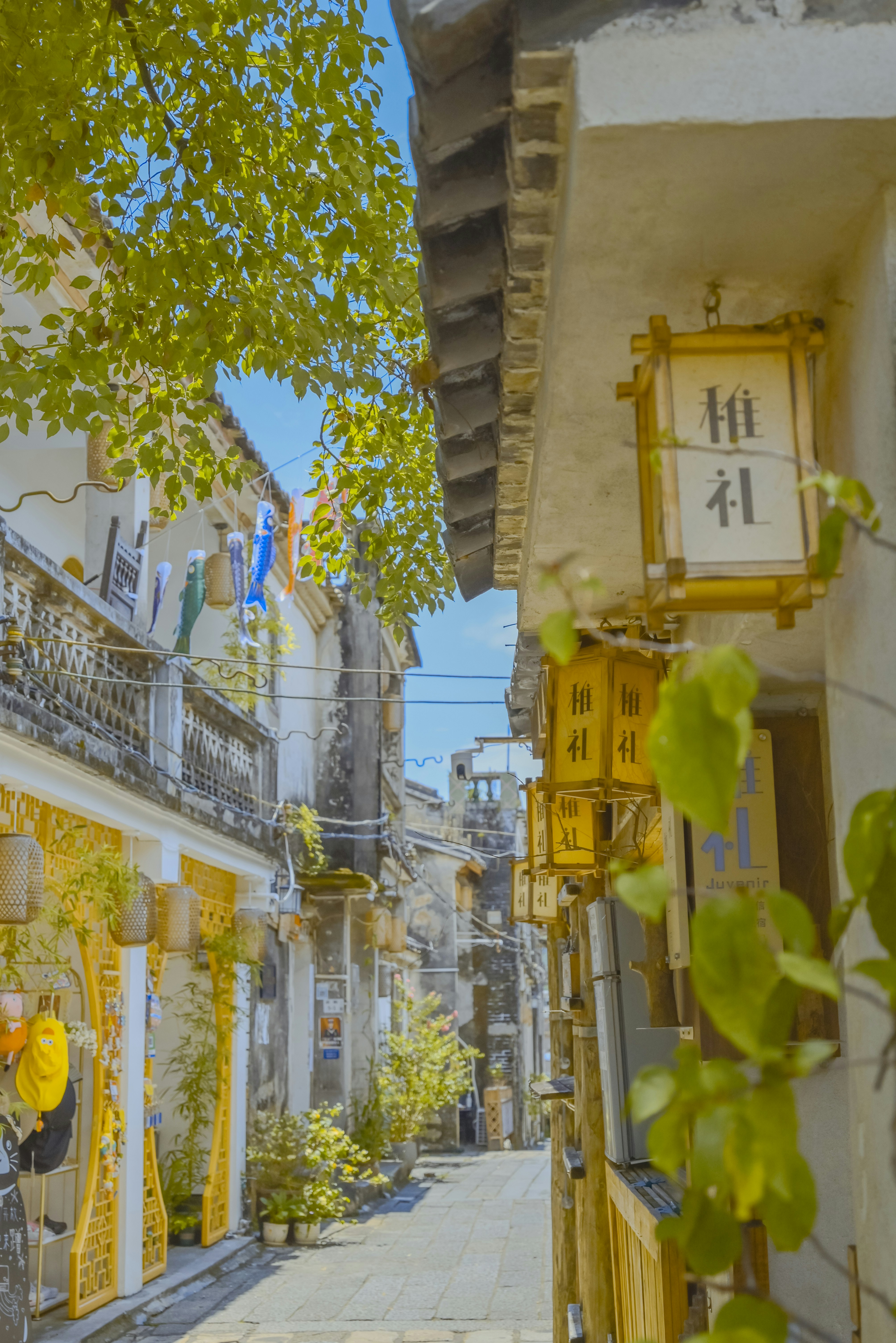 Photo by wangbinghua