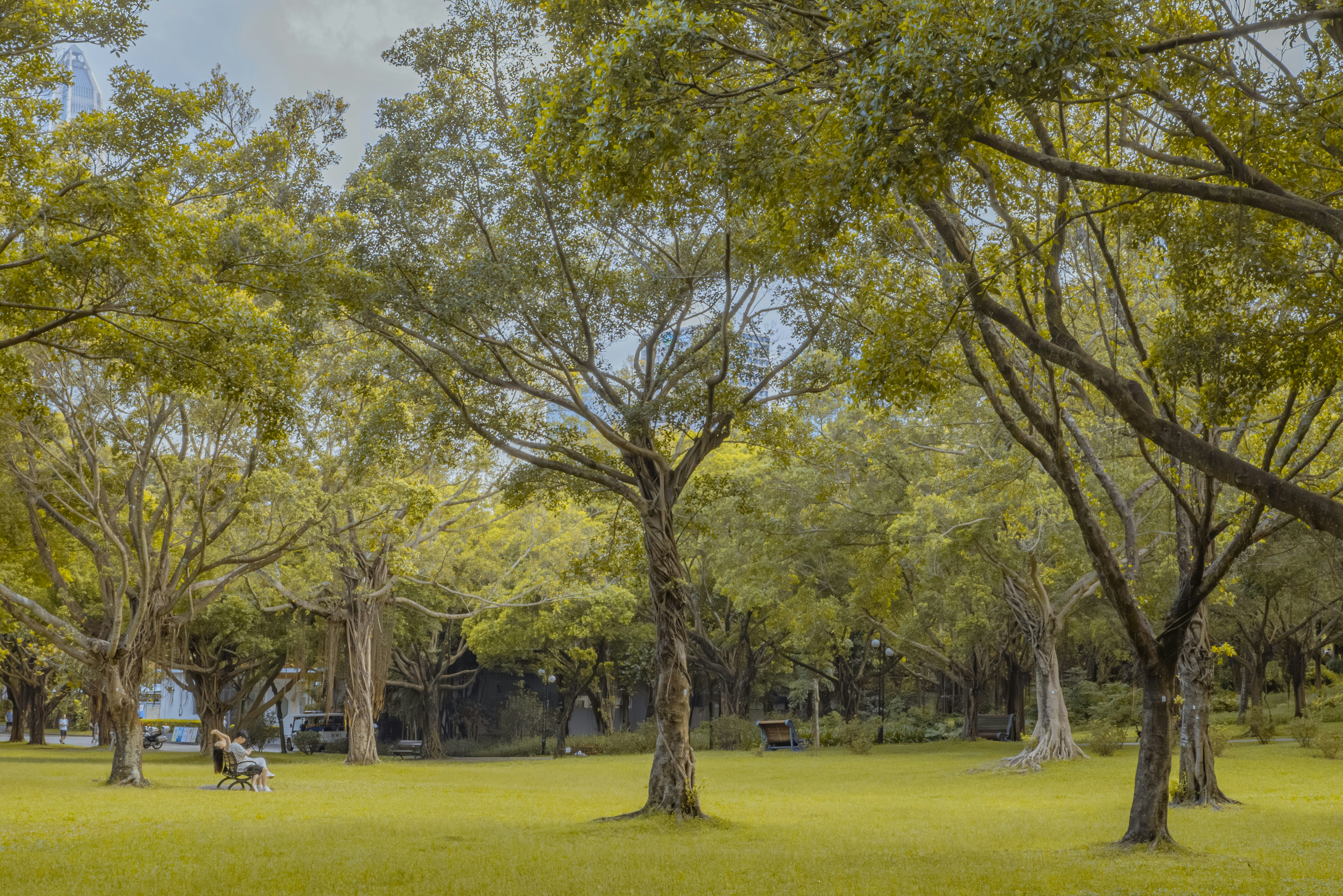 Photo by wangbinghua