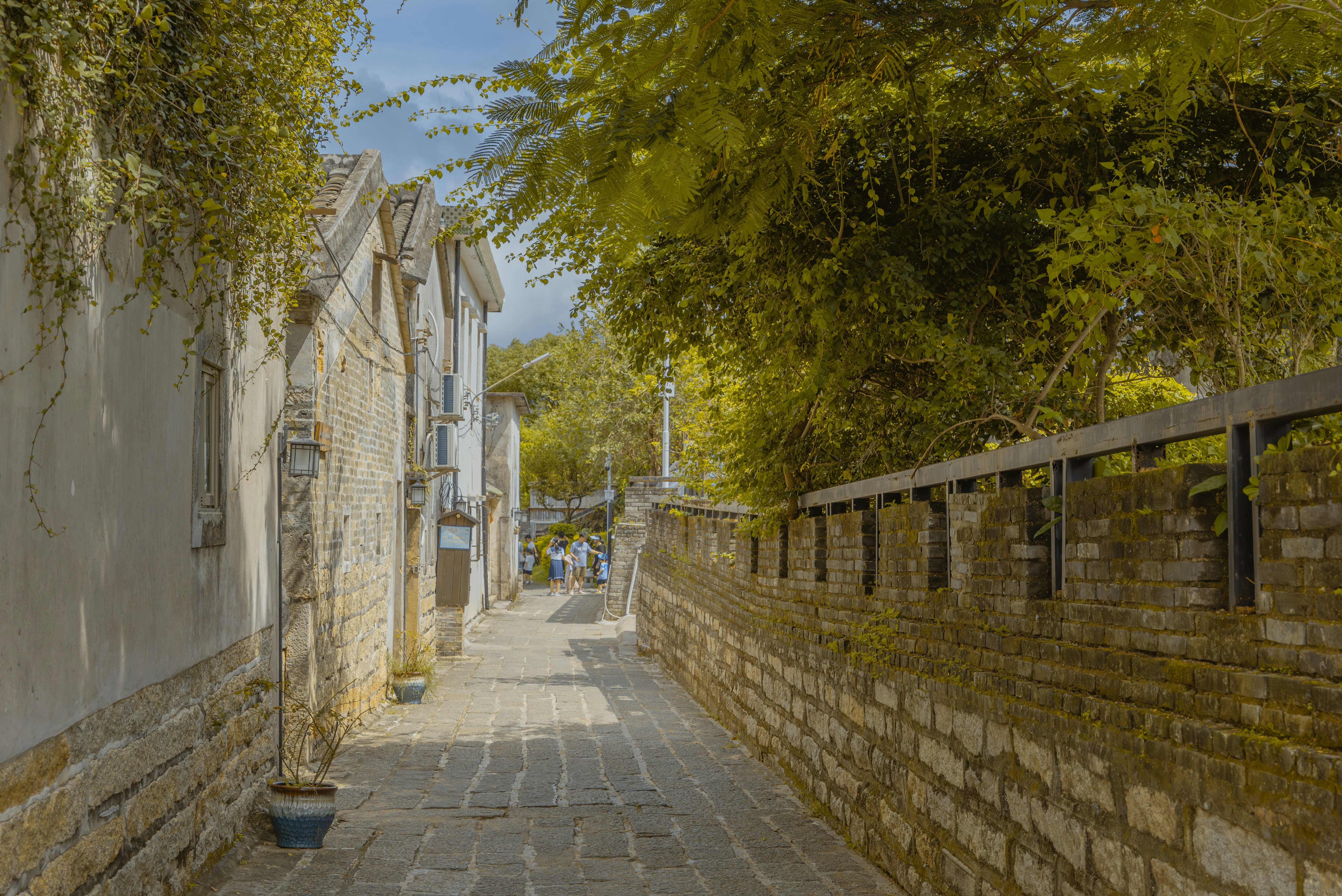 Photo by wangbinghua