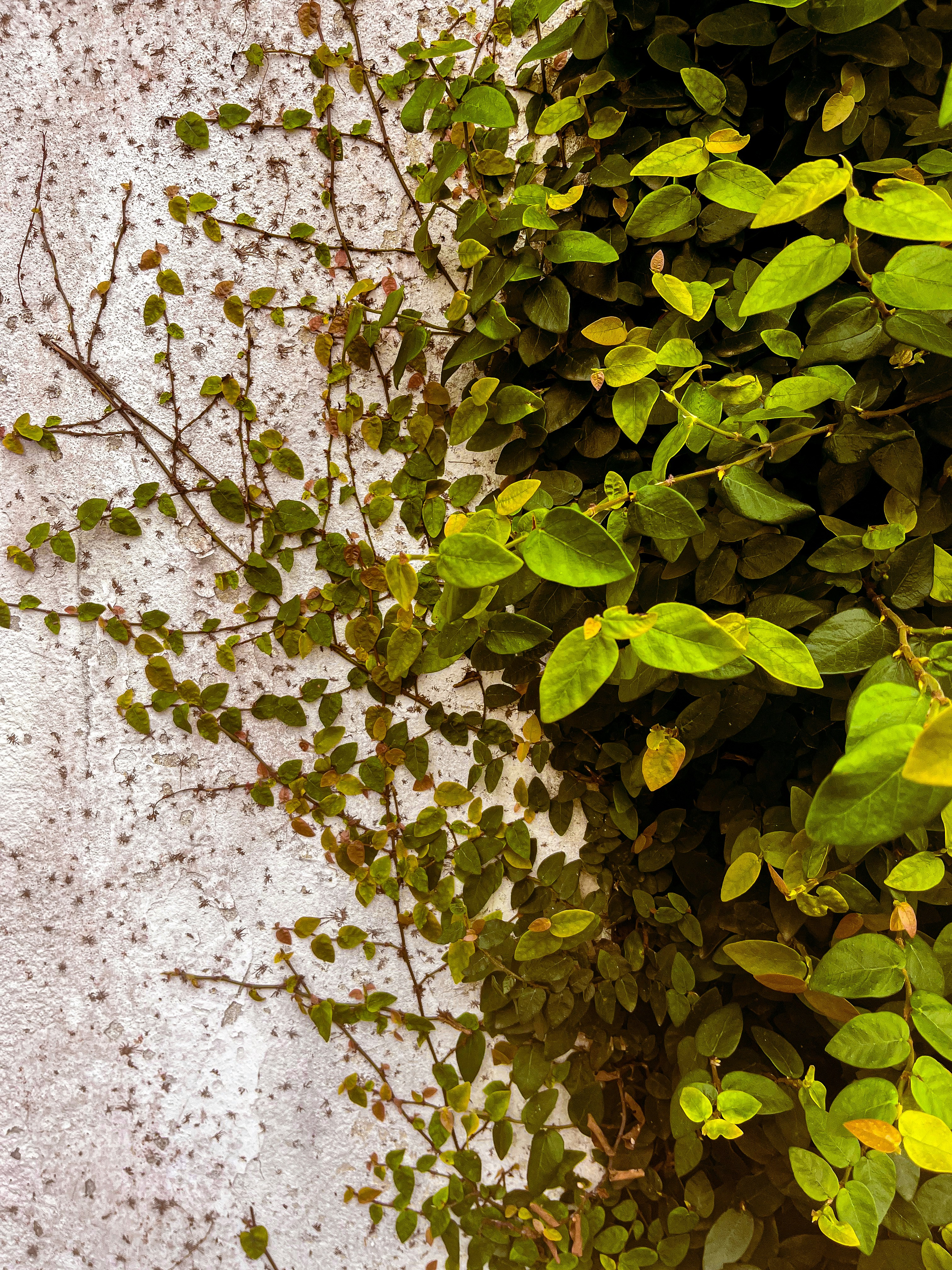 Photo by anacecilia03