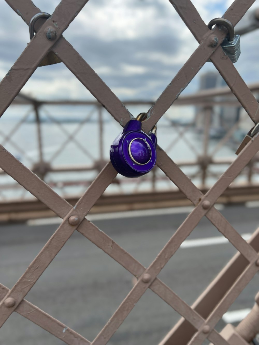 a close up of a chain link fence with a street in the background