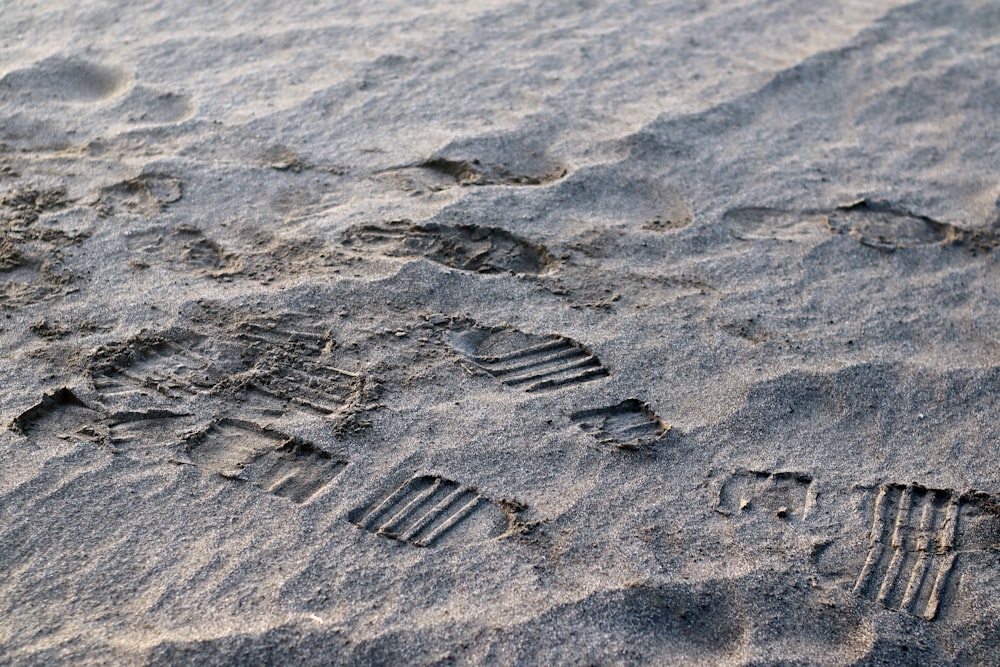 footprints in the sand of a beach