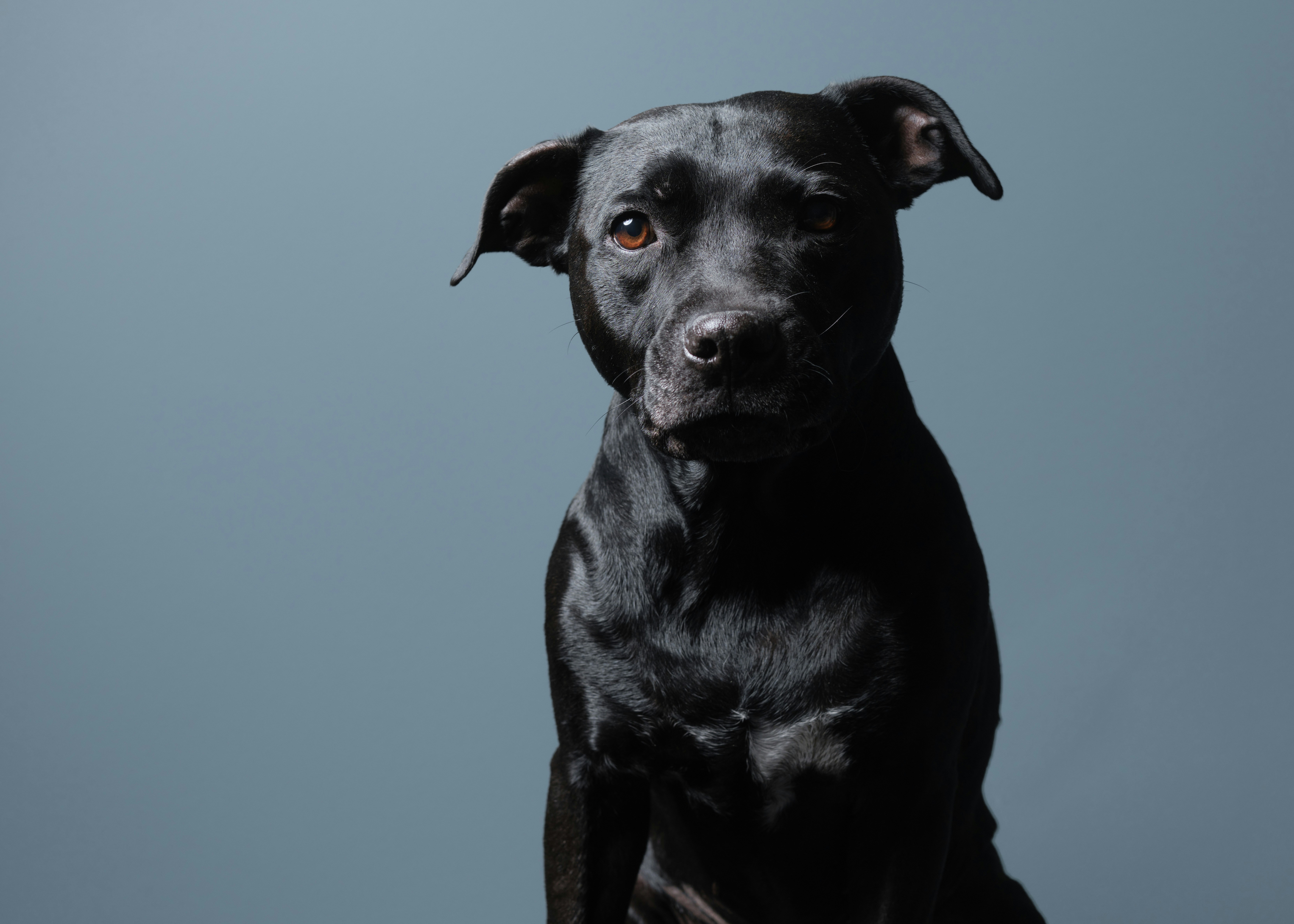 Photo by victor_vector