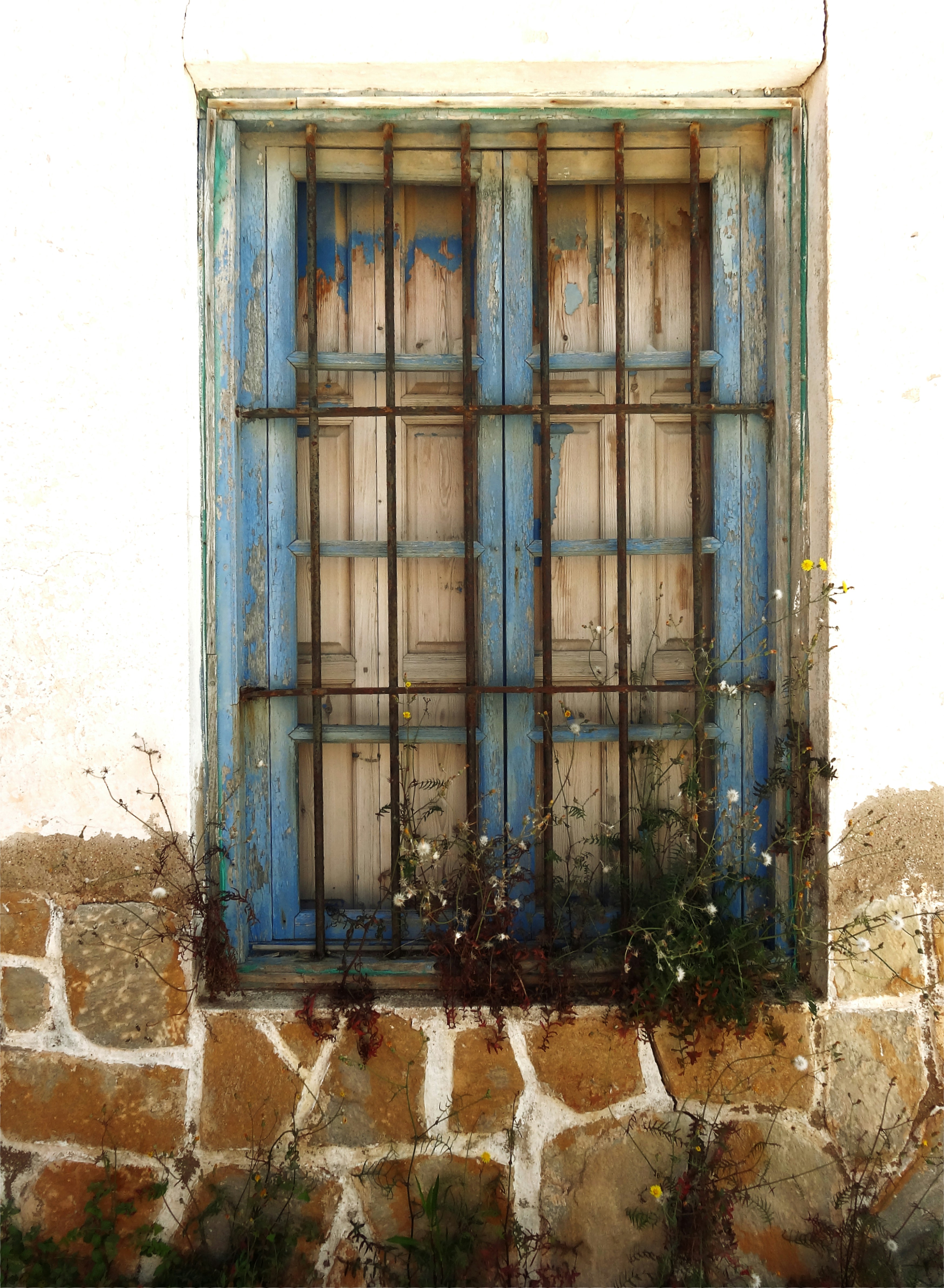 Photo by joanna42crommers