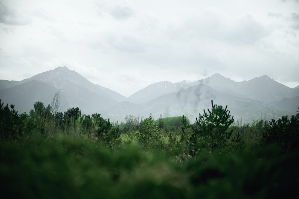 a view of a mountain range from a distance