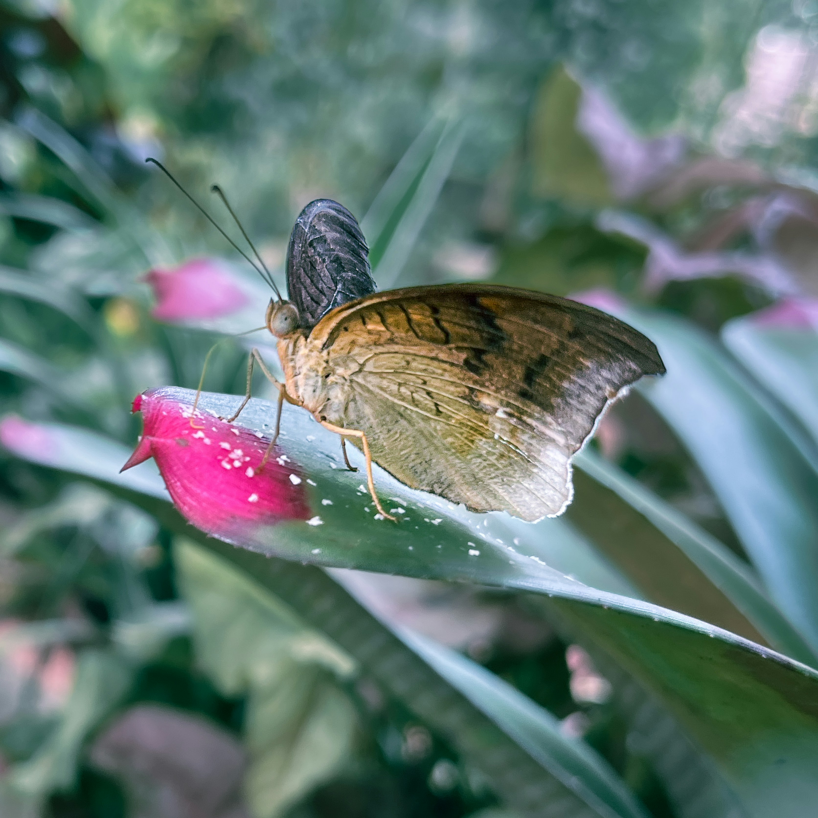 Ajith kumar CL (@clajith) | Unsplash Photo Community