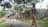Several life-sized sculptures depict an evolutionary progression of human ancestors walking in a line on a stone path. The sculptures are set outdoors, surrounded by greenery and a brick wall in the background.