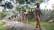 Several life-sized sculptures depict an evolutionary progression of human ancestors walking in a line on a stone path. The sculptures are set outdoors, surrounded by greenery and a brick wall in the background.