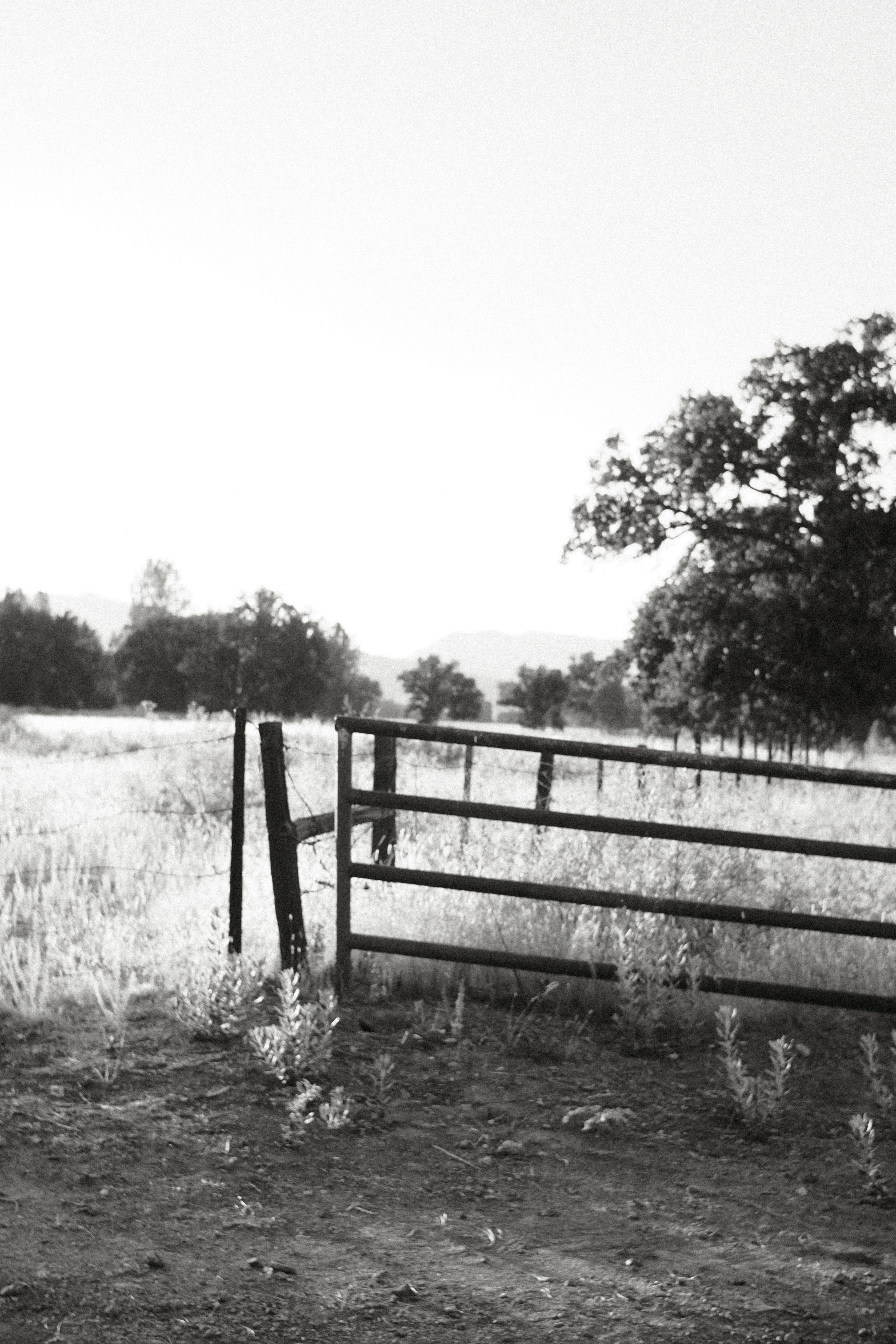 Photo by jacob17pad