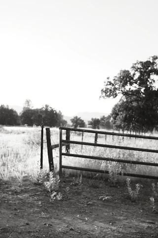 A vintage sepia-toned photograph of a sprawling Texas ranch with rolling hills and a rustic wooden fence under a wide sky.