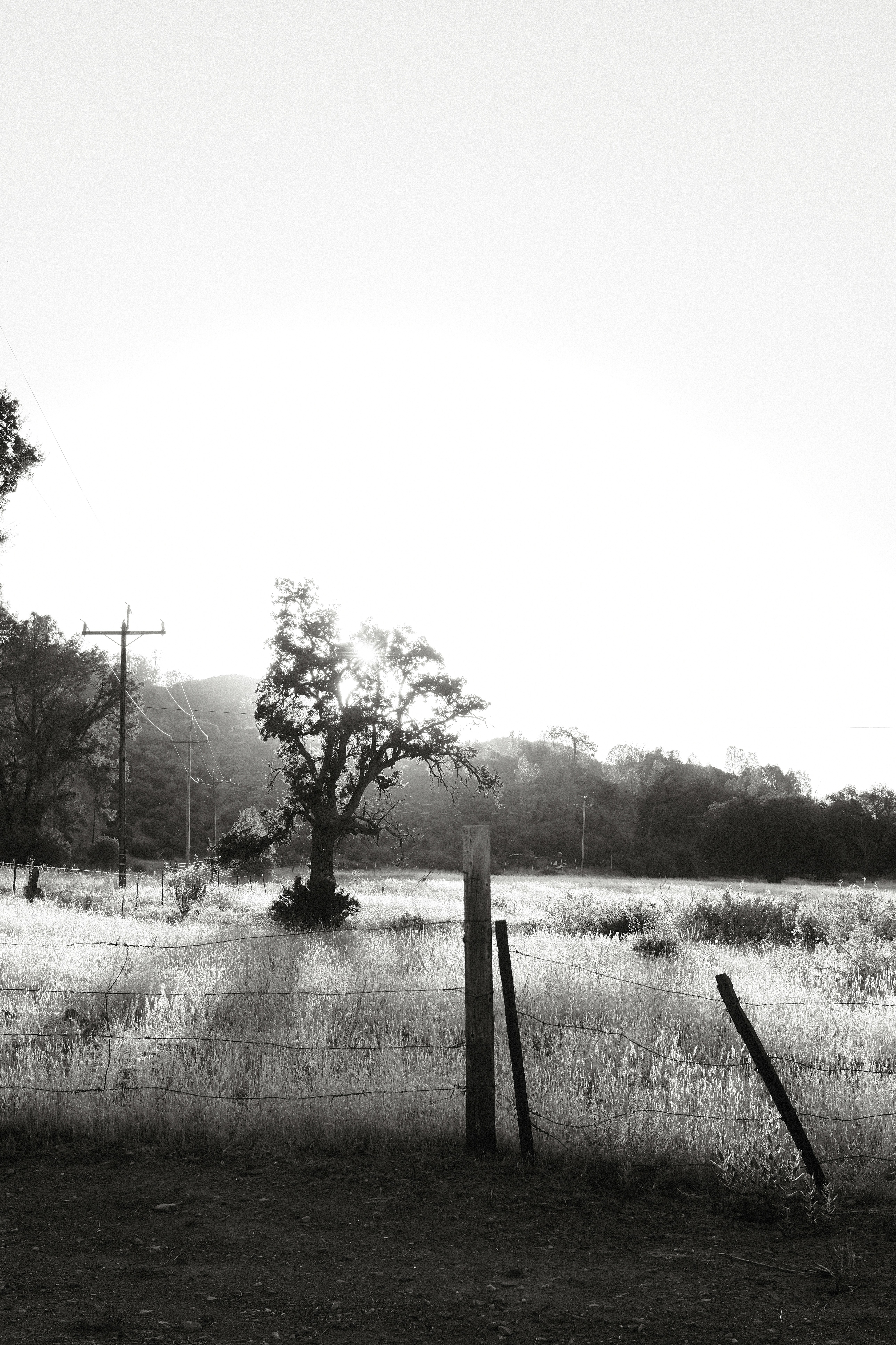 Photo by jacob17pad