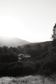 Sunlight bathes a hilly landscape, with rolling hills and trees creating a serene, natural scene. The light casts long shadows across the terrain, giving depth and contrast to the lush greenery.