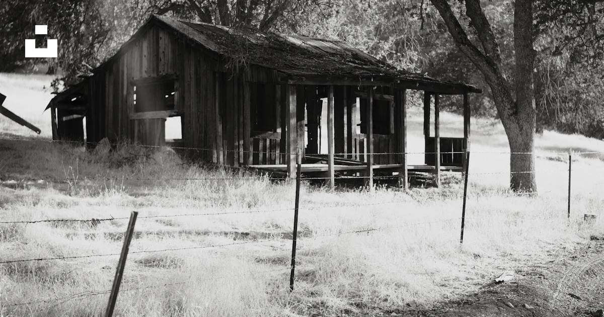 Shack Photography A black and white photo of an old shack photo – Free Building Image on ...