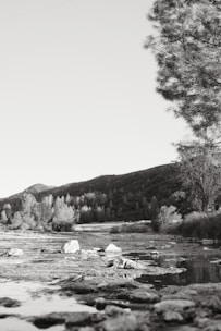Close-up of a peaceful creek running through the acreage.