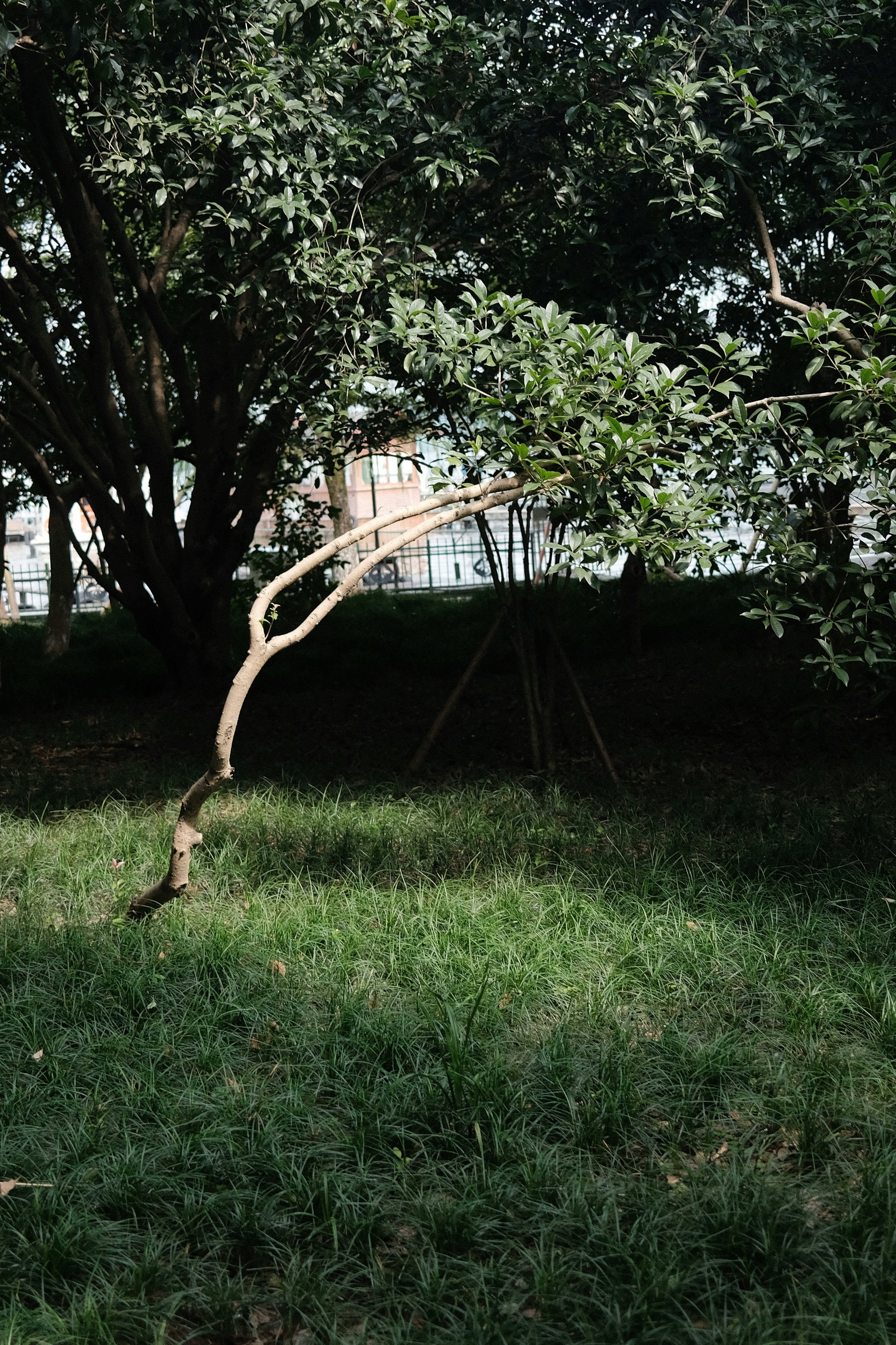 Photo by mfchshao
