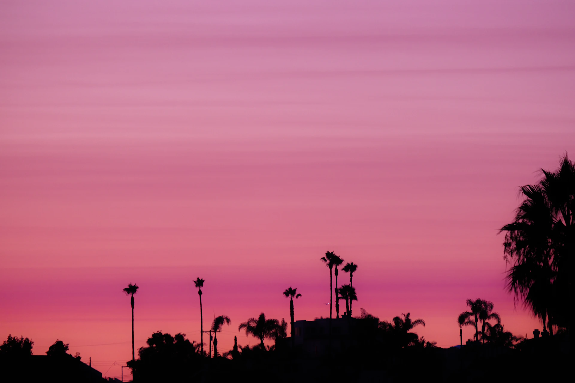 A sunset skyline with palm trees silhouetted, bathed in vibrant pink and purple hues, evoking classic retrowave aesthetics.
