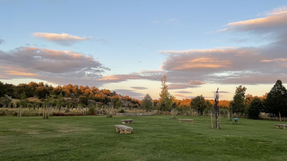 um campo gramado com árvores ao fundo