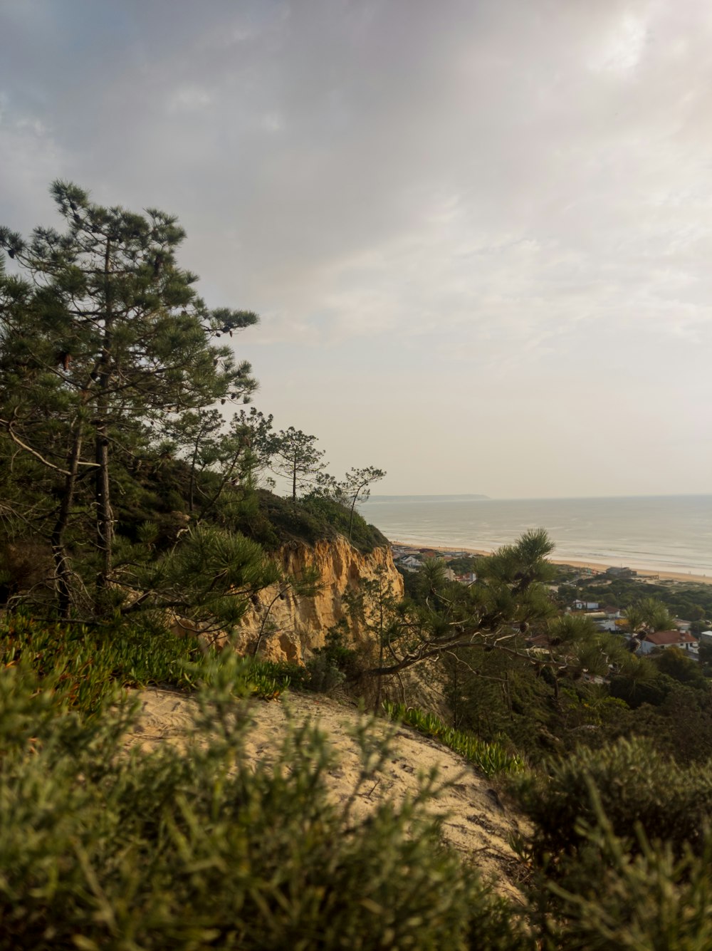 a view of the ocean from the top of a hill