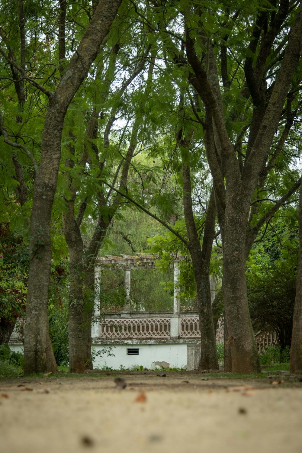 a bench sitting between two trees in a park