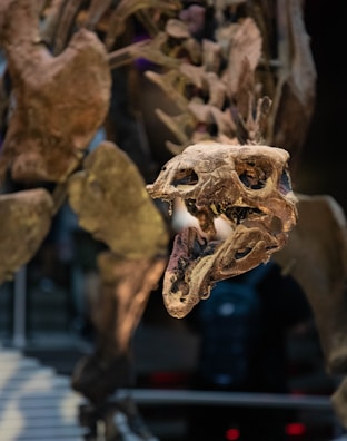 A close-up of a detailed dinosaur illustration on a shirt.