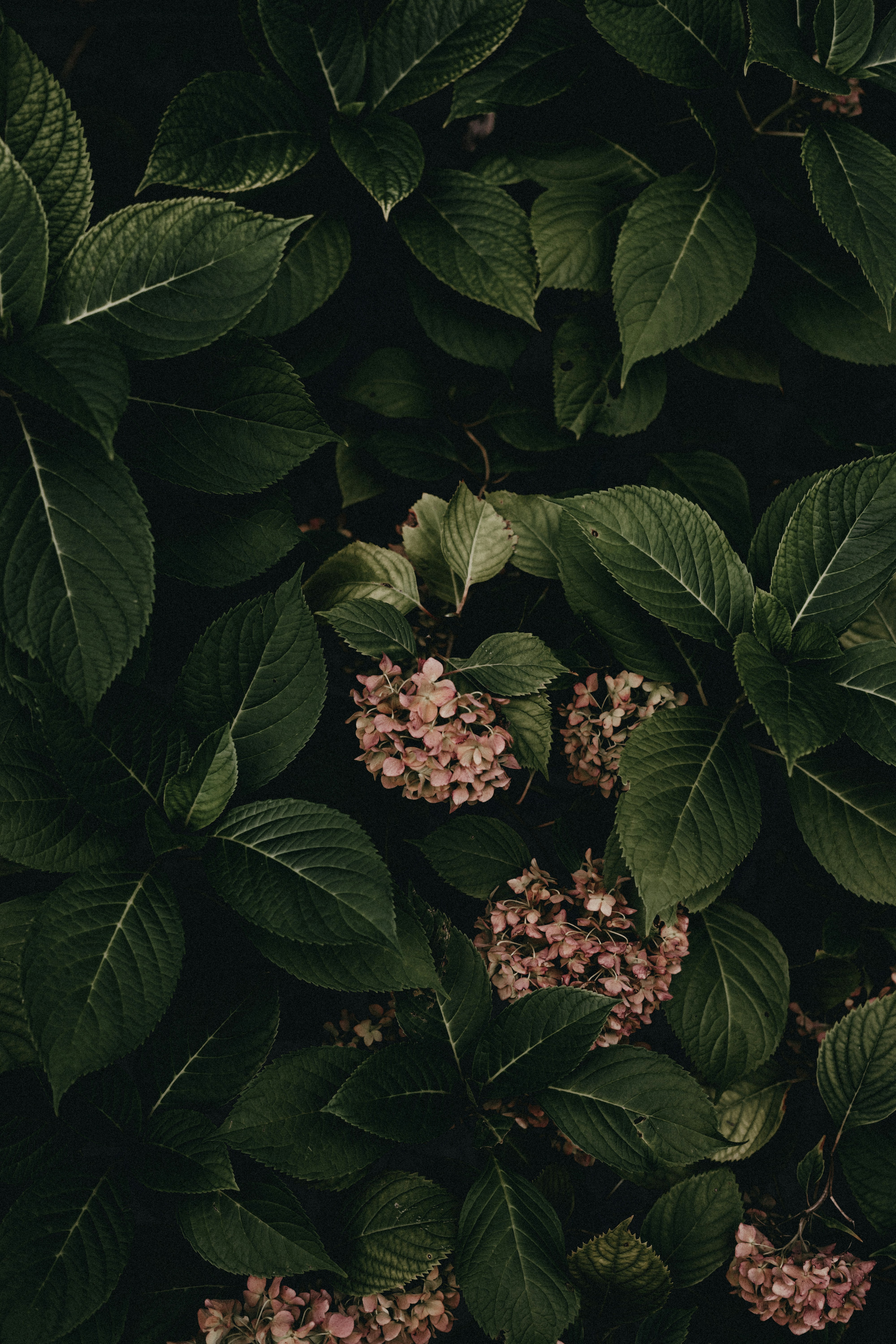 Photo by volkova_2897