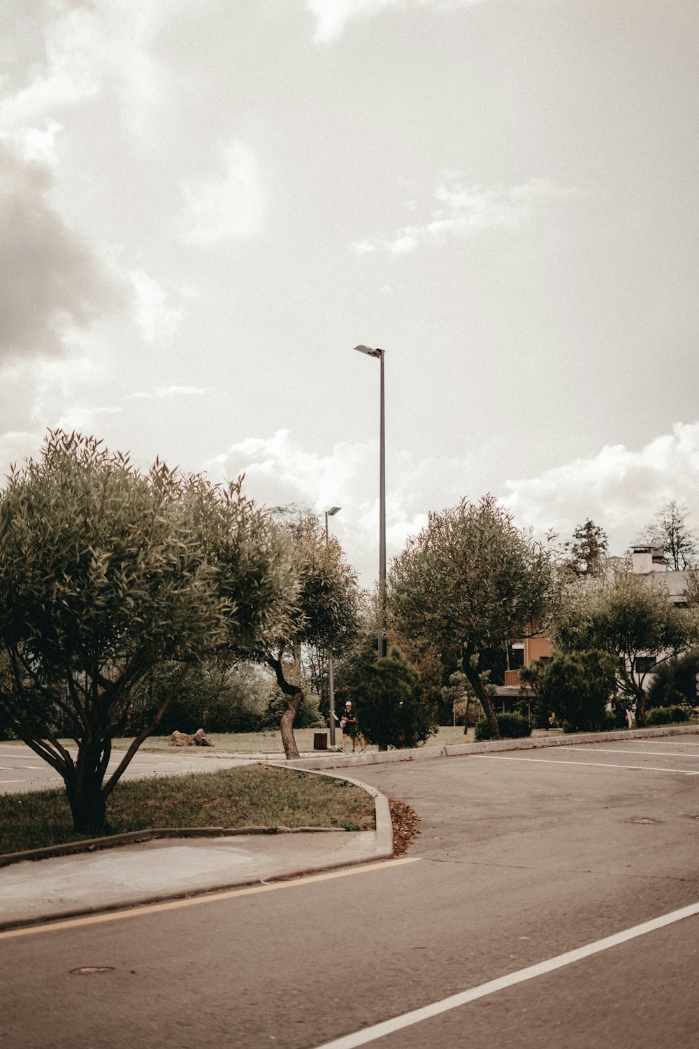 a street corner with a street light and trees