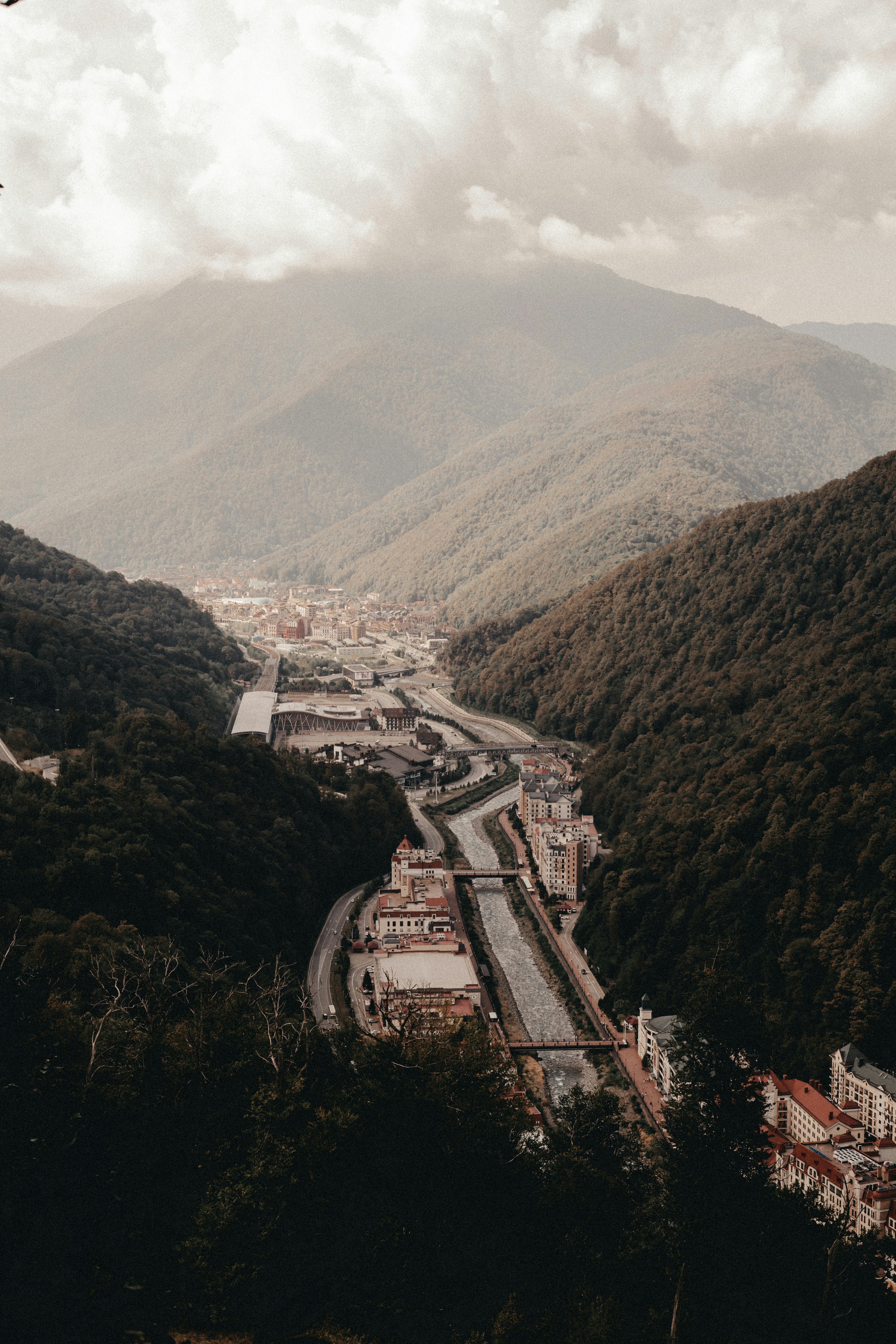 Photo by volkova_2897