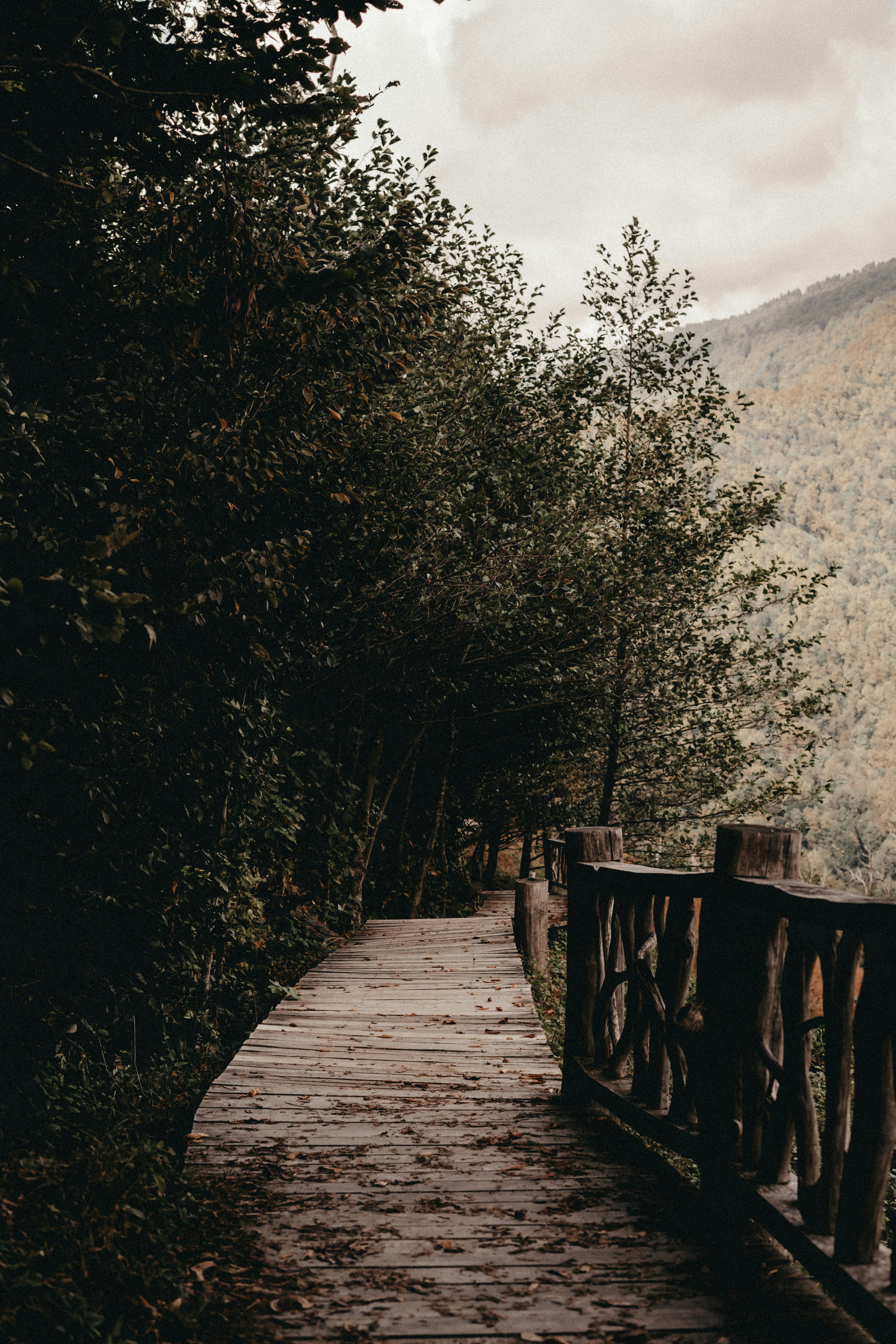 Photo by volkova_2897