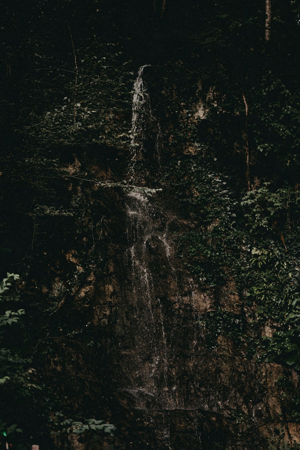 a waterfall in the middle of a forest