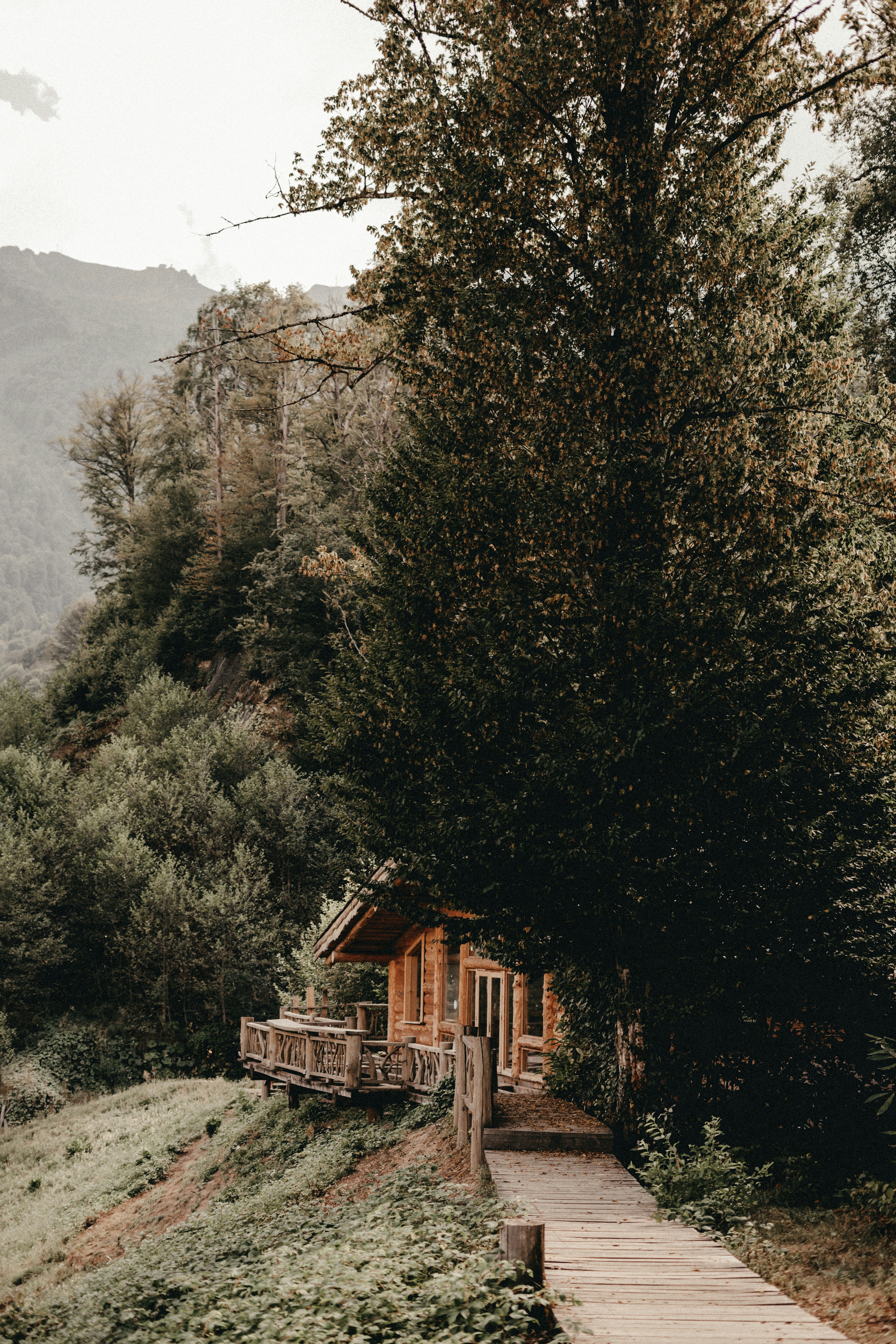 Photo by volkova_2897