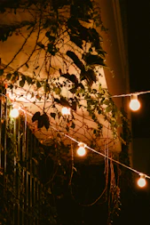 a bunch of lights that are on a wall