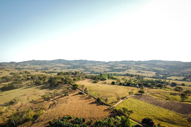 A panoramic view of rolling fields and wooded land under a bright sky, symbolizing opportunity and growth.