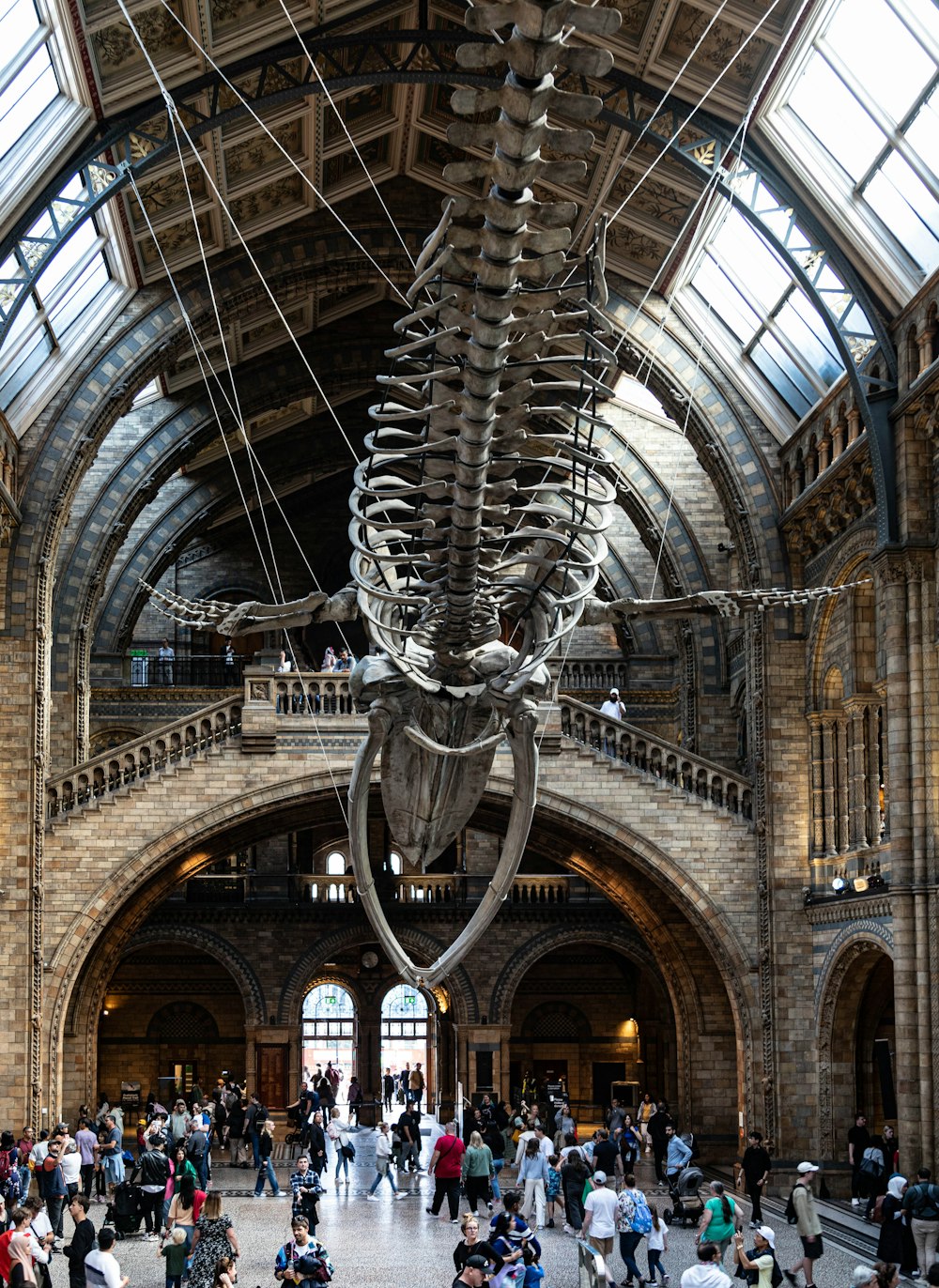 Un museo con un gran esqueleto colgando del techo