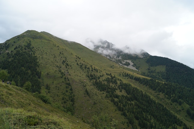 Lush green hills covered with dense pine trees leading up to rugged, mist-shrouded mountain peaks under an overcast sky. In the distance, a group of people is hiking along a trail.