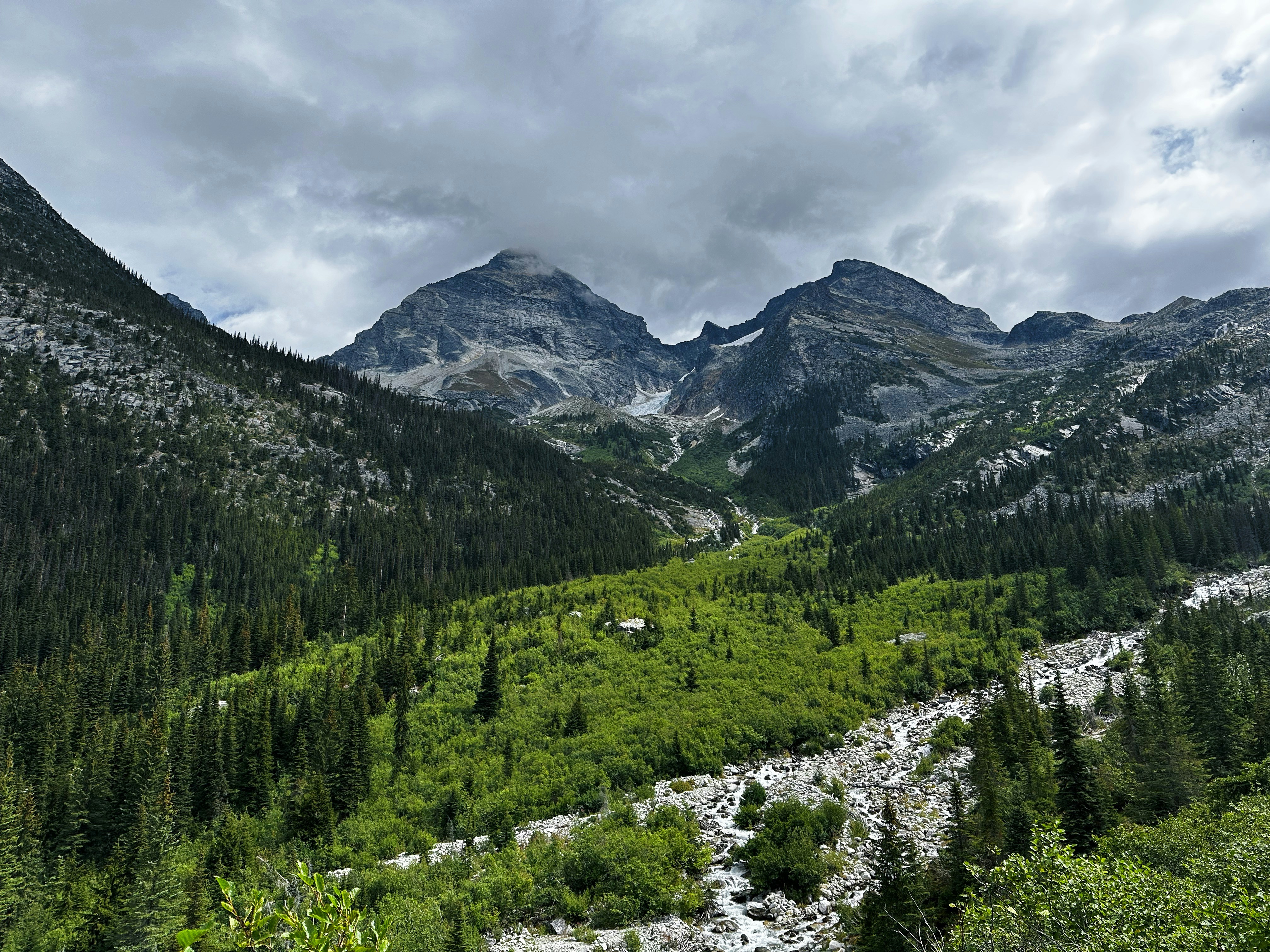 Photo by julianamarx