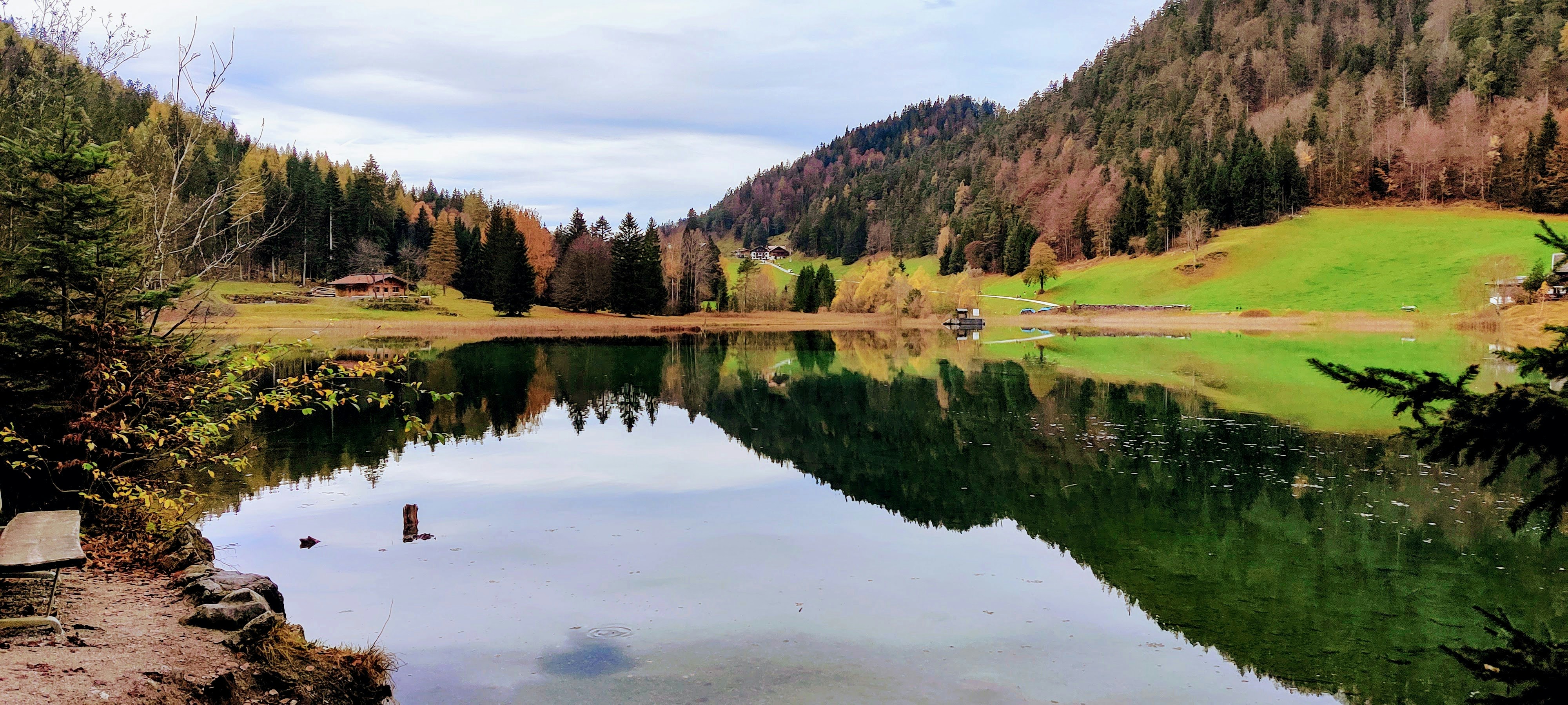 a body of water surrounded by a forest