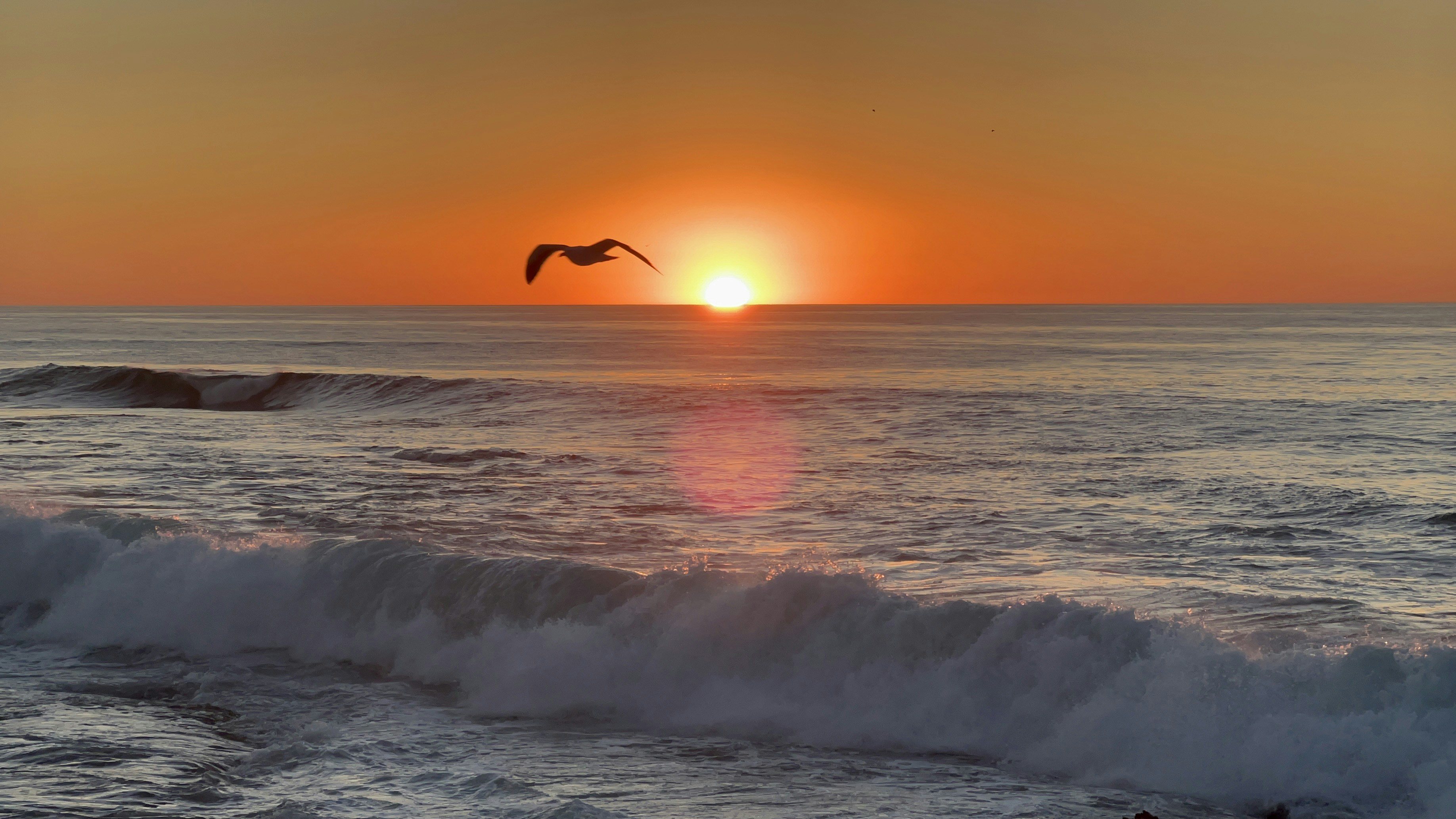 Photo by yjustkidding