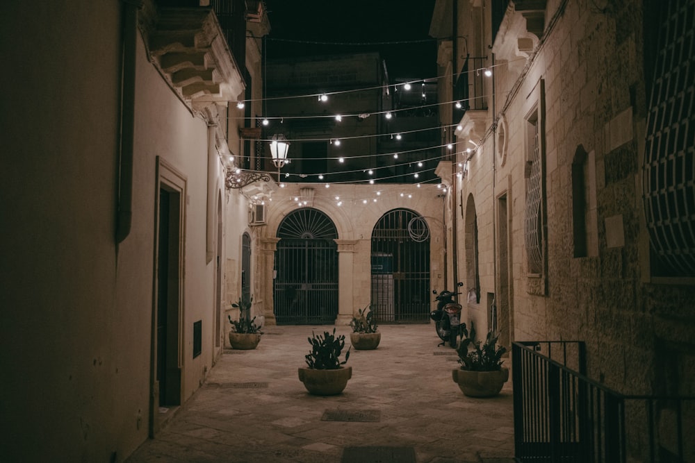 an alley way with potted plants and string lights