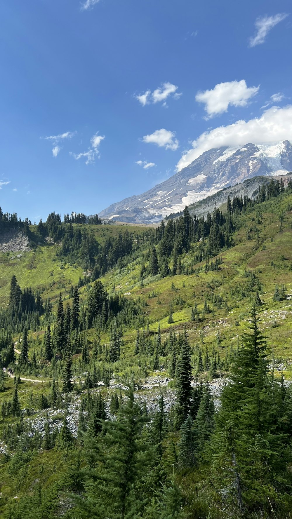 a lush green hillside with a mountain in the background