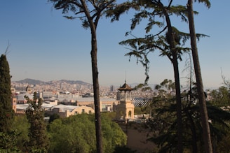 A scenic view of downtown Los Angeles.