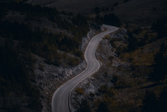 Cinematic shot of a winding mountain road surrounded by deep shadows and vibrant greenery.