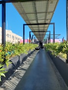 A long pathway is shadowed by a structure made of solar panels, with lush green plants on either side. The pathway is part of a building complex with colorful walls and a clear blue sky in the background.