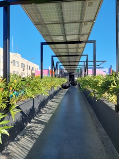 A long pathway is shadowed by a structure made of solar panels, with lush green plants on either side. The pathway is part of a building complex with colorful walls and a clear blue sky in the background.