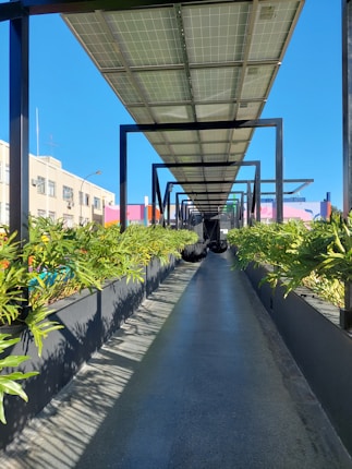 a walkway lined with lots of plants next to a building