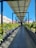 A long pathway is shadowed by a structure made of solar panels, with lush green plants on either side. The pathway is part of a building complex with colorful walls and a clear blue sky in the background.